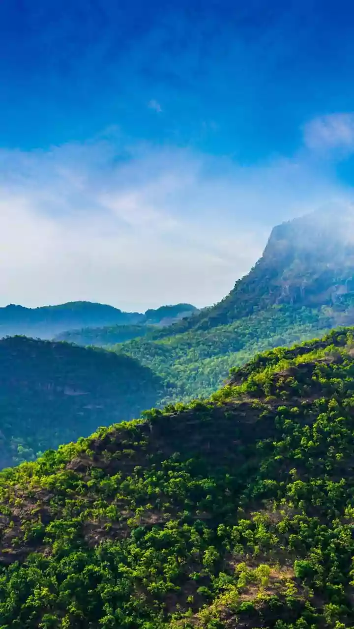Anamudi Peak: Kerala's Majestic Summit and Biodiversity Haven