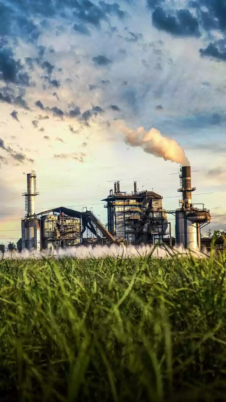 Bharat Coking Coal IPO: Decoding the Buzz