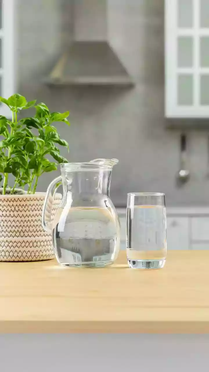 The New Small-Space Gardening Trend Makes Kitchen Corners With Greenery Worth Considering