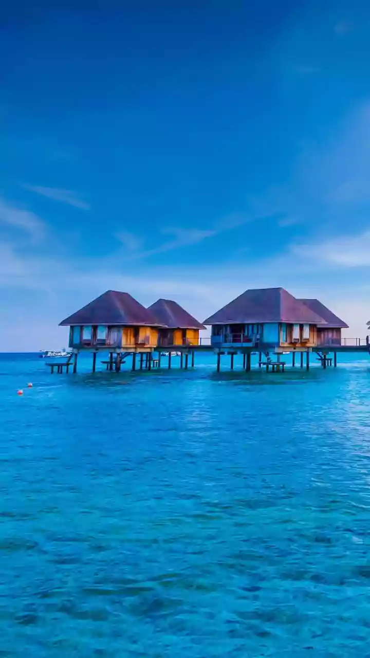Why Kumarakom Homestays Are Preferred Over Busy Alleppey Backwater Houseboats Today