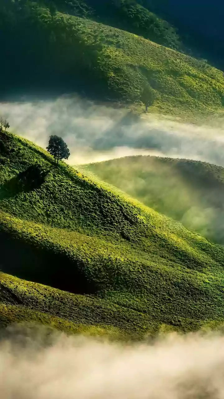 High-Altitude Retreats In Coorg Gain Popularity As Young Urbanites Seek Monsoon Wellness