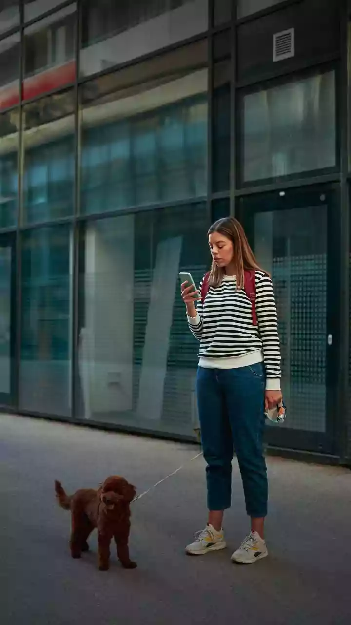 Urban Walks With Pets Are Proper Travel Plans