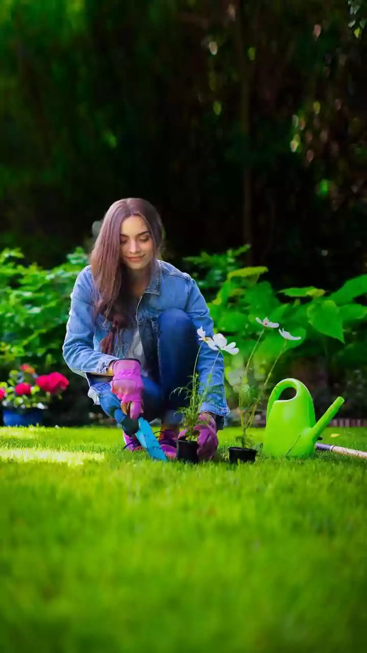A Spotlight On Low-Water Planting Beyond Droughts In The Low-Water Gardening Shift
