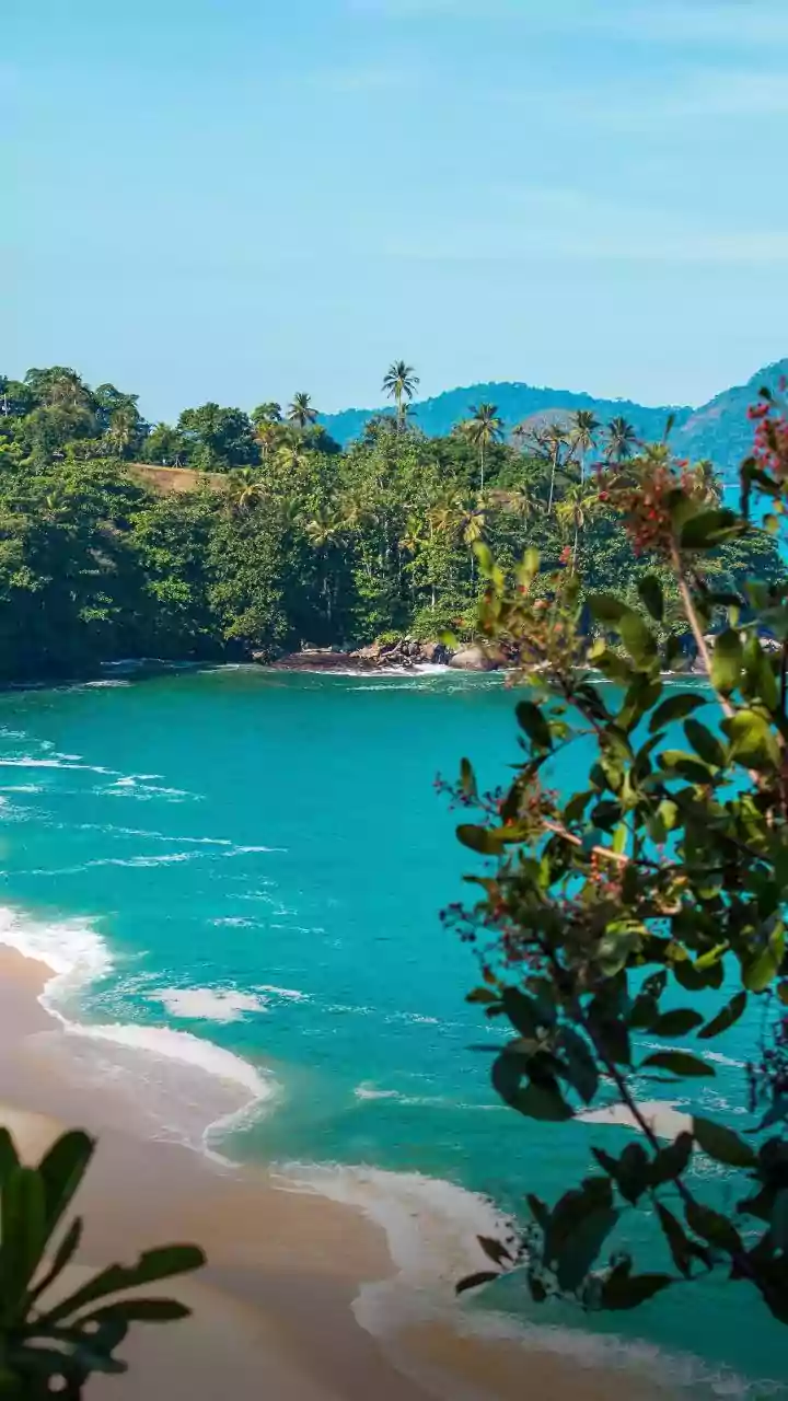 Natasa Stankovic's Phuket Escape: A Masterclass in Post-Divorce Personal Branding