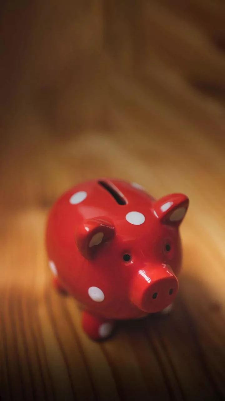 PPF, NSC and Sukanya Rates Hold Steady in the Latest Review