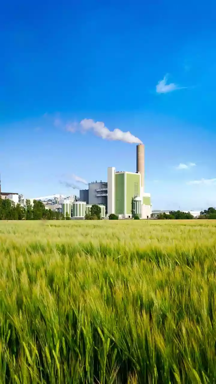 Ethanol Allocation Threatens Distilleries