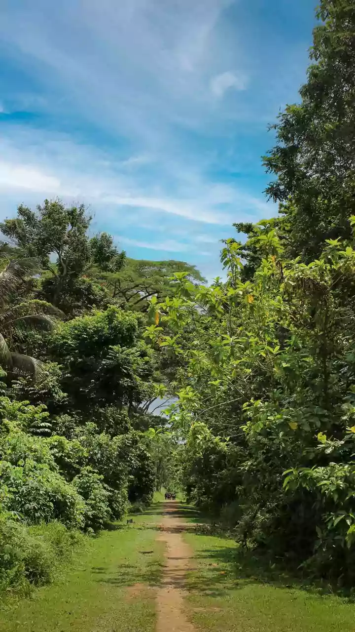 Two members of Maoist splinter group shot dead in internal clash in Jharkhand