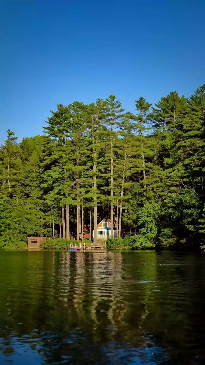 Discover Stout's Island: A Secluded Midwest Escape with Rustic Charm and Lakeside Adventures