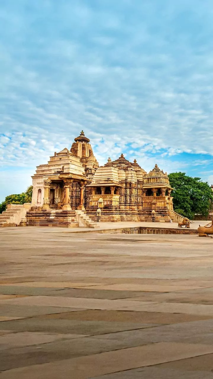 MP News: Foreign Tourists Ride Bullock Cart To Explore Bundelkhandi Culture In Khajuraho; Video Viral