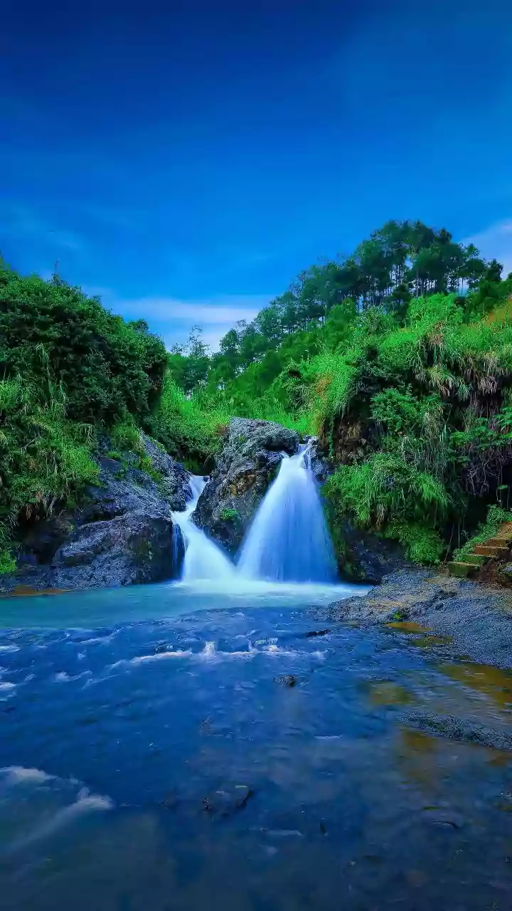 Nature Seekers Explore Maharashtra’s Rain-Fed Waterfalls After Heavy Showers