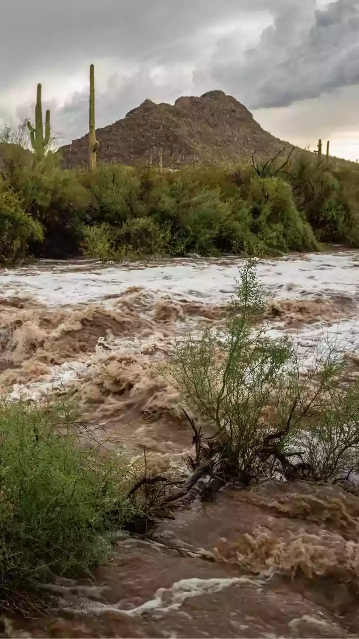The Monsoon Routine Everyone's Following