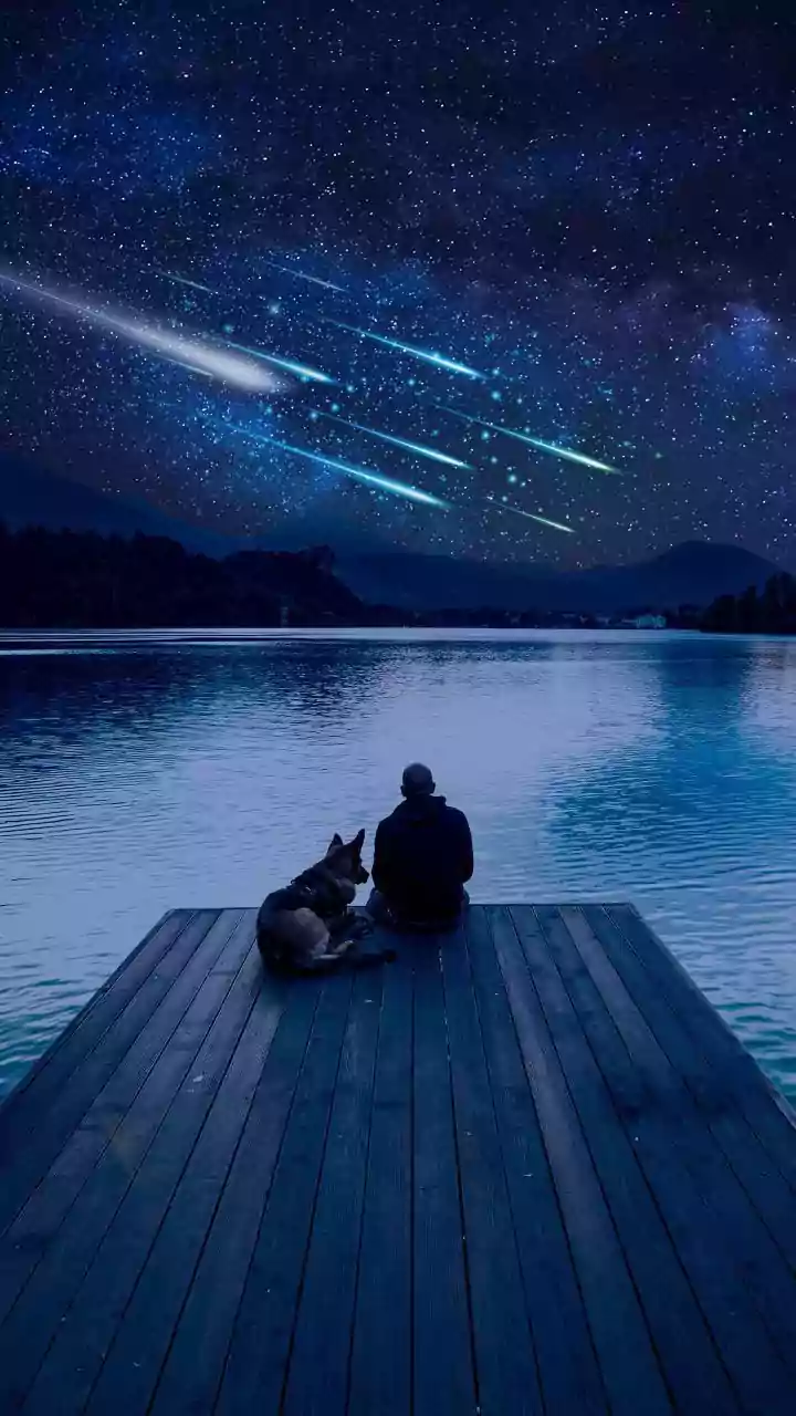 The Celestial Event: How To Watch Delta Aquariids From Ladakh