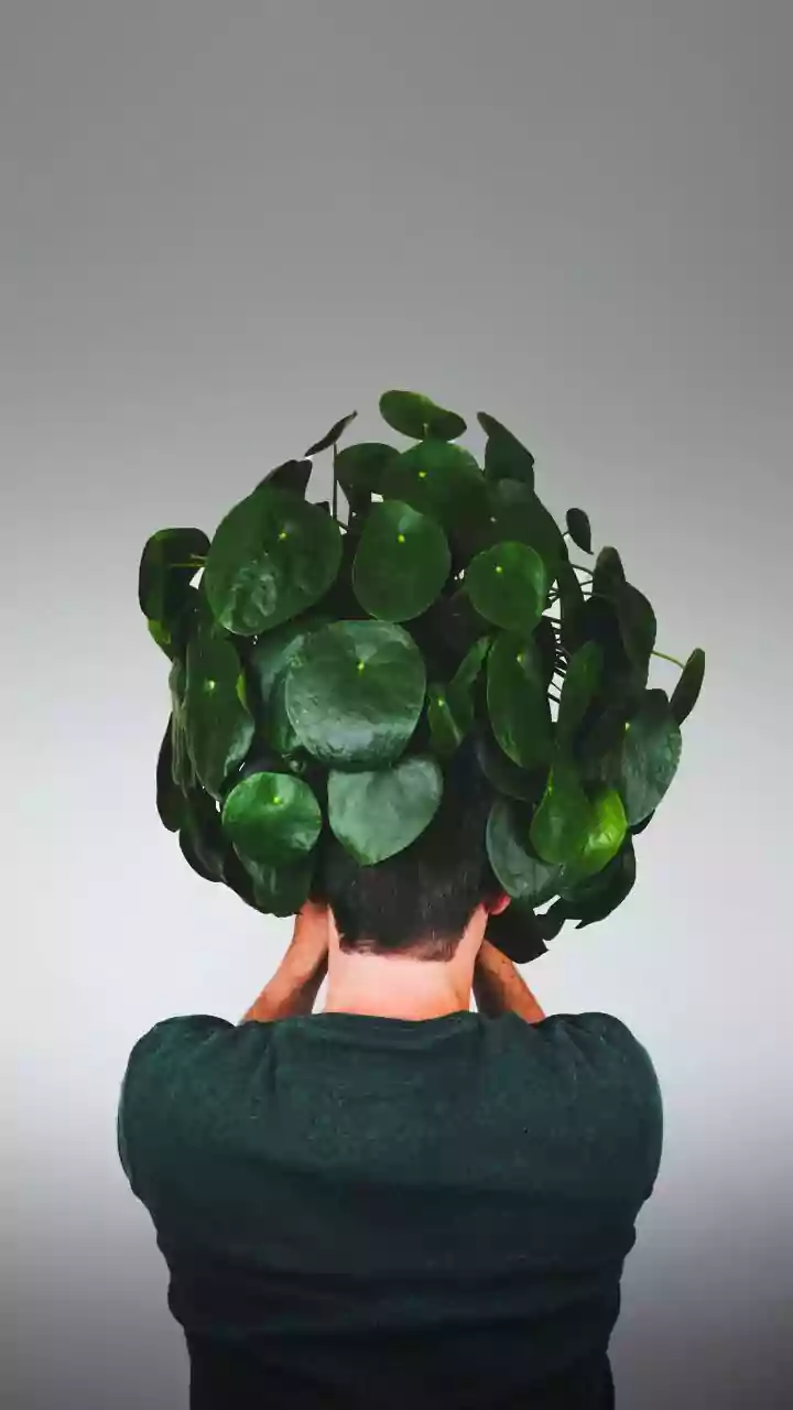 Practicing Wellbeing: The Art of Being Shalini