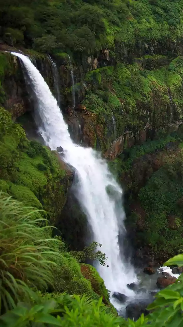 Maharashtra Monsoons Transform Rugged Valleys Into Breathtaking Green Havens