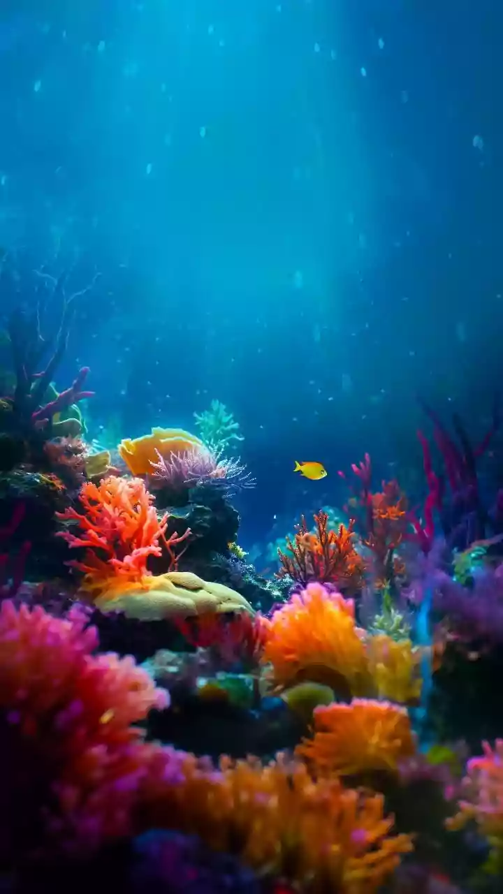 Dive Deep: Masterclass Unveils Marine Biodiversity's Underwater Wonders