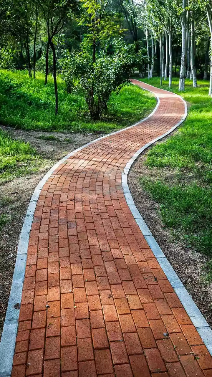 Baiyappanahalli's New Green Oasis: A 65-Acre Tree Park