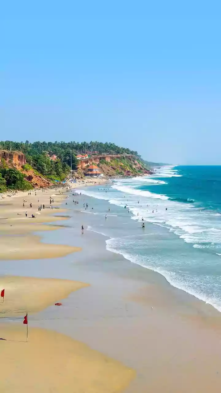 'Goa Stands With Progressive Politics': PM Modi Hails BJP's Zilla Panchayat Poll Win