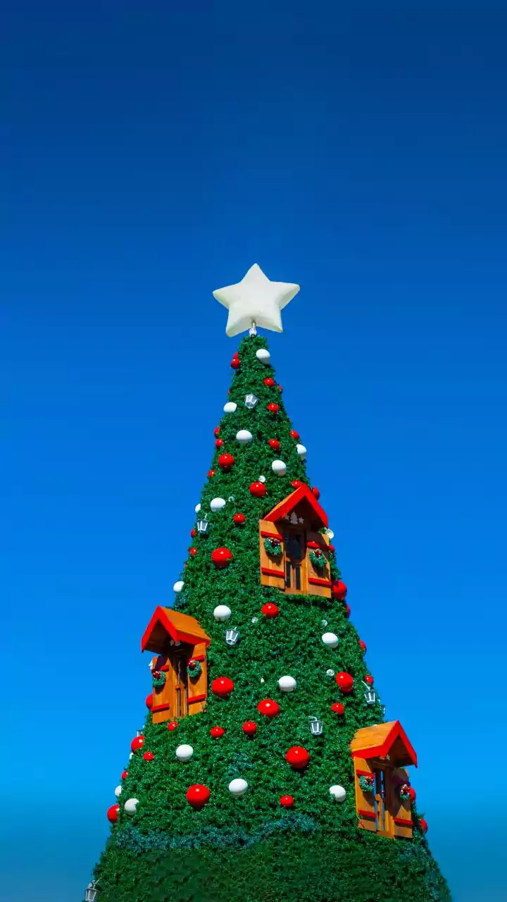 Natal Luz de Gramado abre venda de ingressos e anuncia duas novas atrações