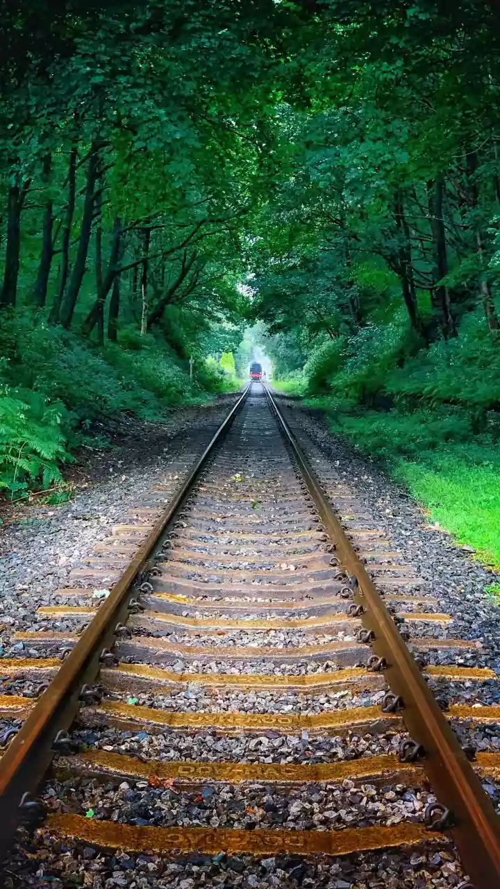 Why Rail Tourism Could Be A Practical Alternative For Some Domestic Trips