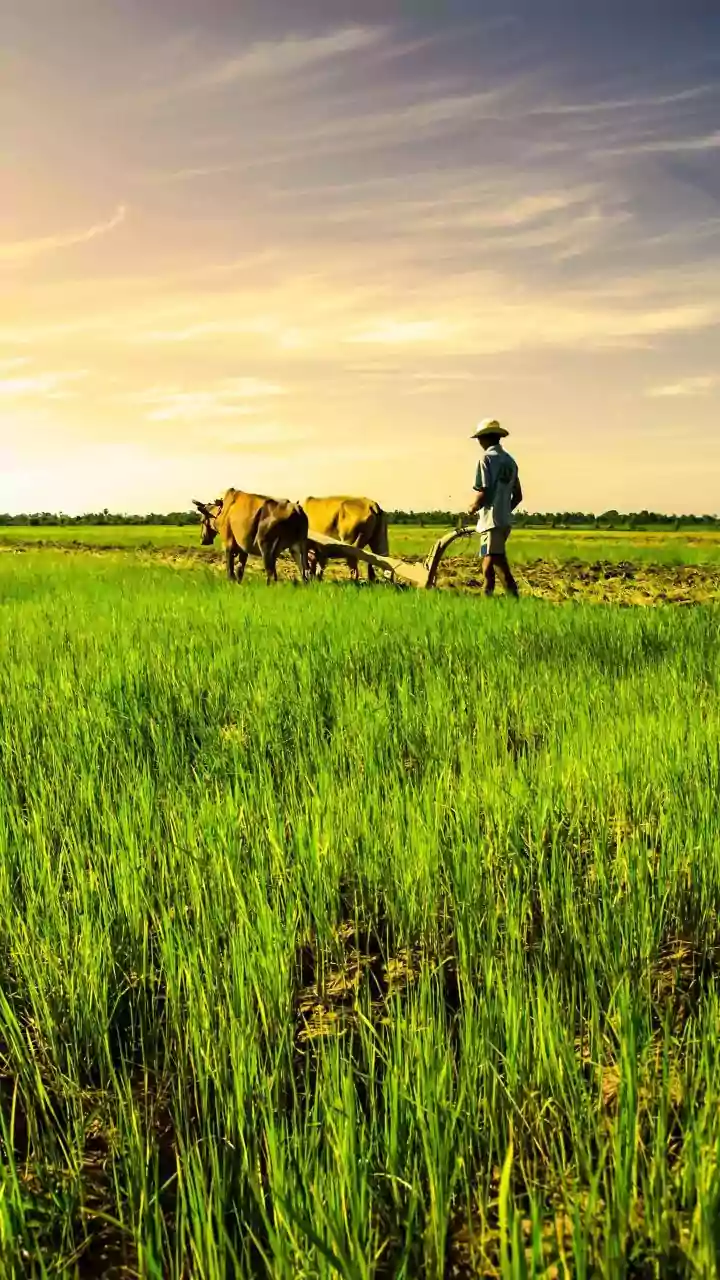 PM Modi Shares Union Minister's Article Explaining Viksit Bharat G RAM G Bill