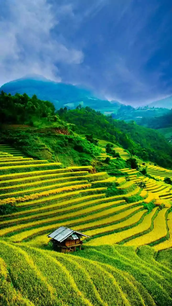 5 Exotic Asian Destinations to Bookmark for Your 2026 Travel Plans