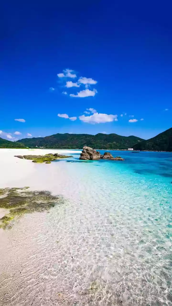Unveiling 10 Pristine Beaches Worldwide: A Tropical Escape