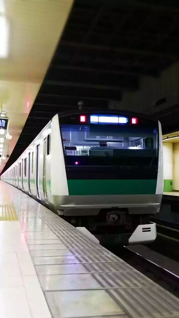 Living Moss Wall Modules Lower Fine Dust Counts Across Underground Metro Platforms