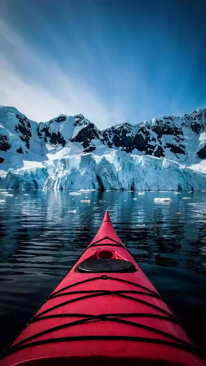 Ronald Lauder: The billionaire who encouraged Trump to control Greenland