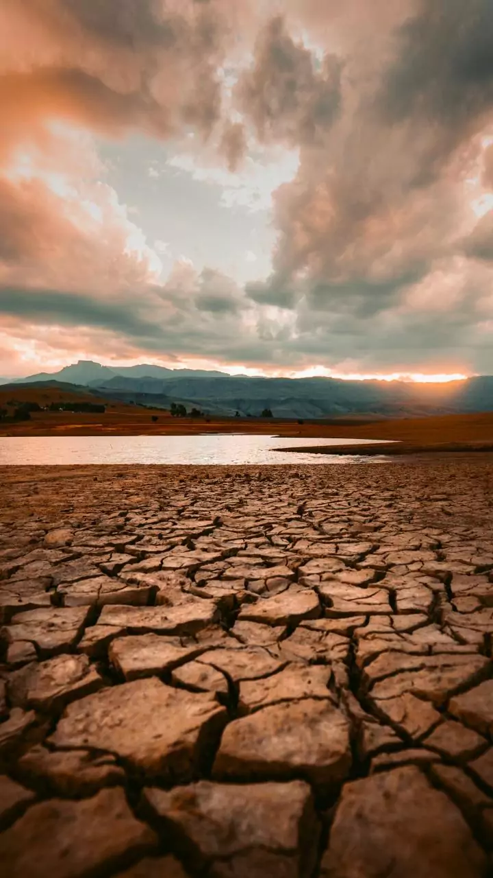 IMD forecasts dry spell in West Bengal, temperature to fall slightly