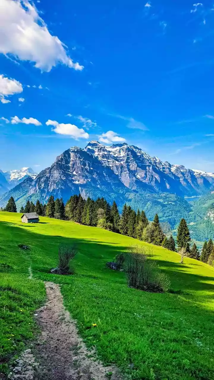 Why Hiking In Austria Means Alpine Flower Meadows You Will Love