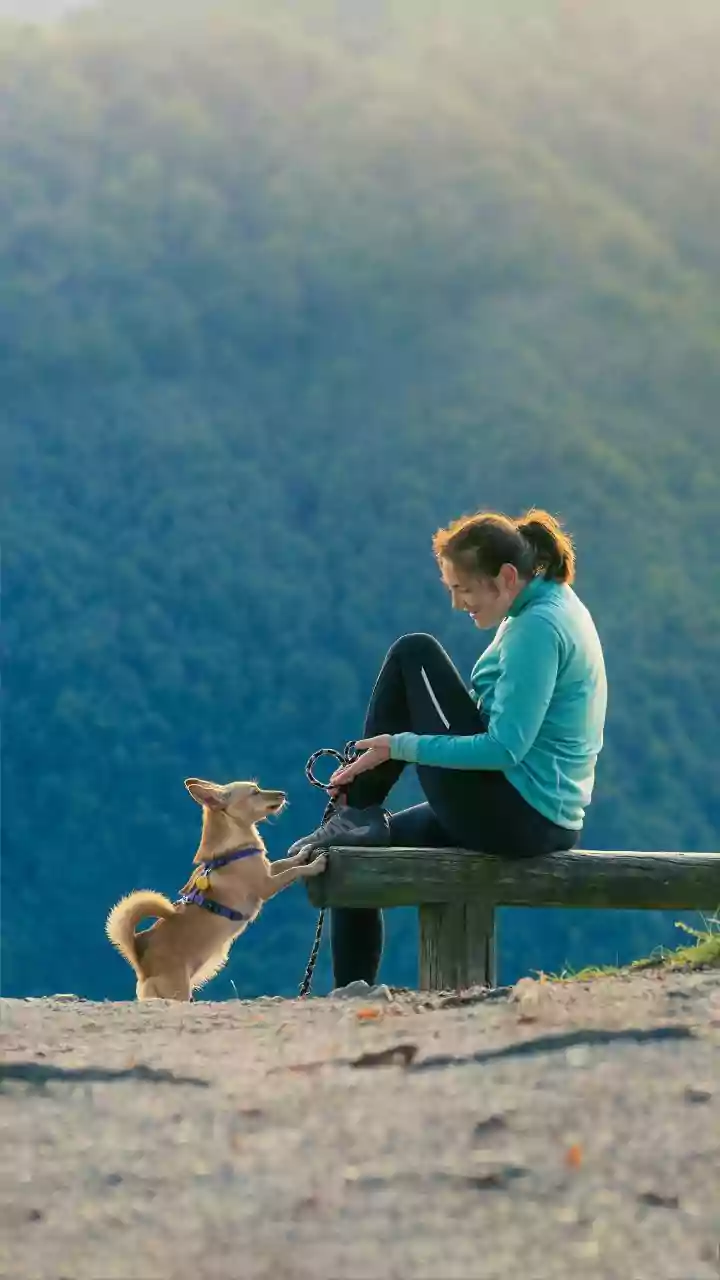 Pet-Friendly Walks Are The New Local Exploration Flex