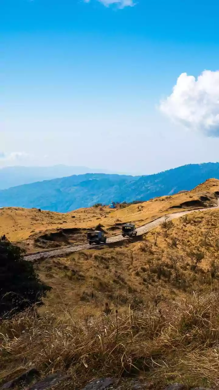 Planning Your Indian Safari Adventure: A Comprehensive Guide