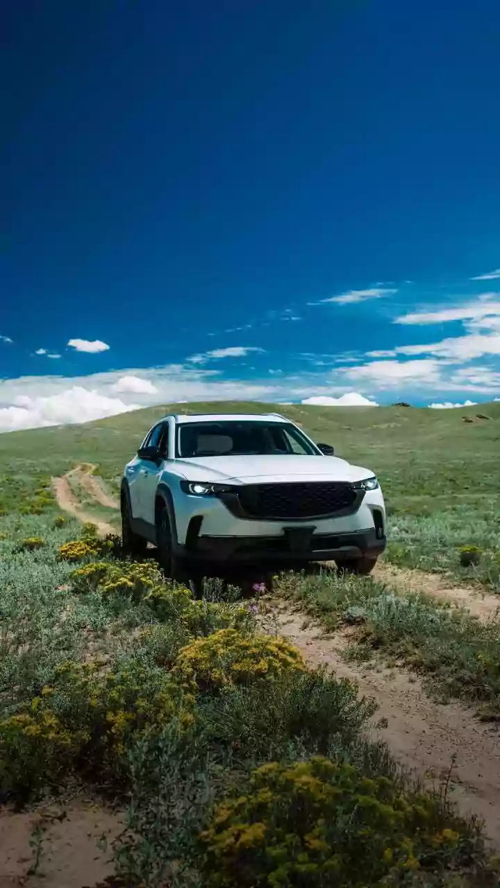 E20 Fuel: Production and Implications for Indian Vehicles