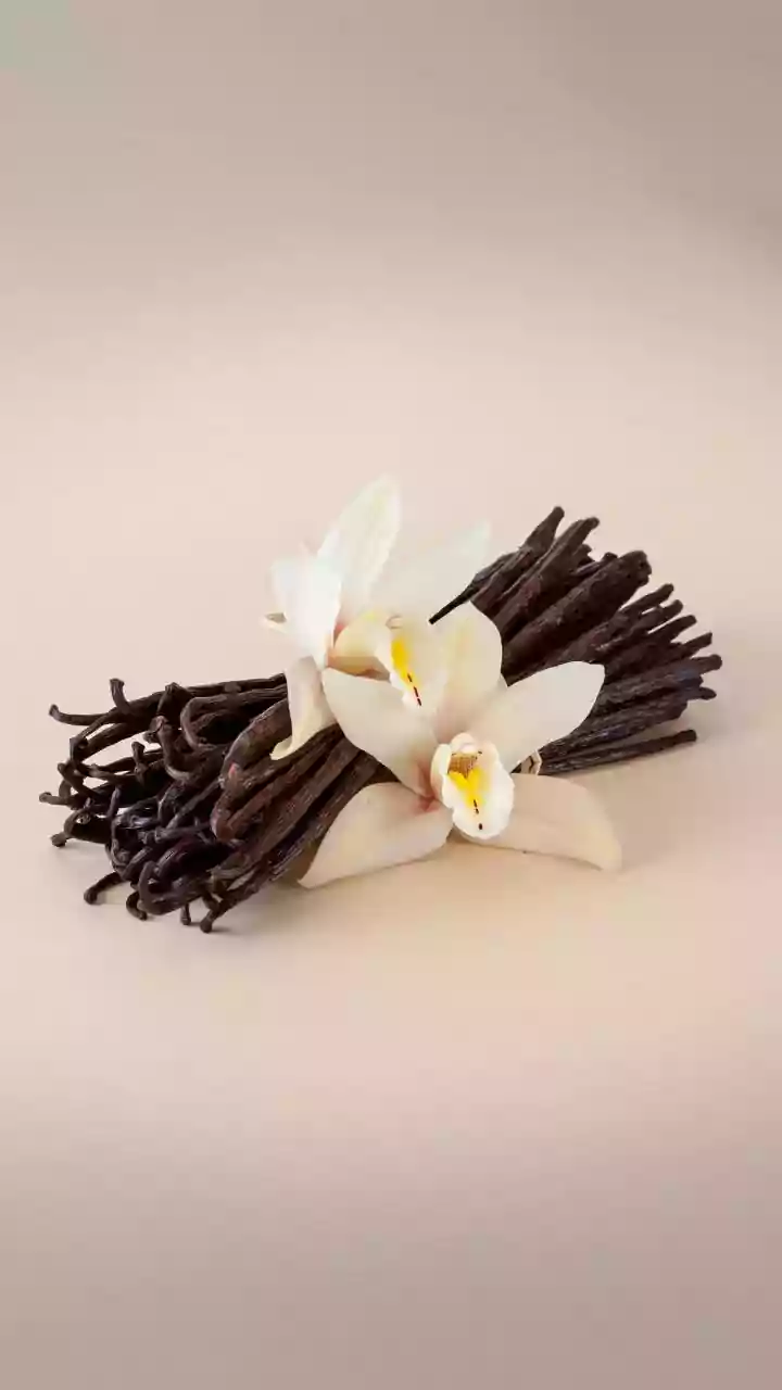 Vanilla bean: A natural ingredient for lip care