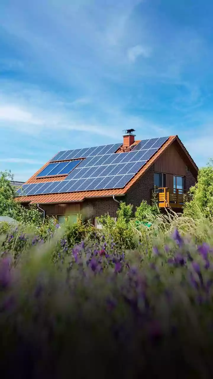 India's Agrivoltaics Push Separates Crop Shade from Solar Capacity Alone
