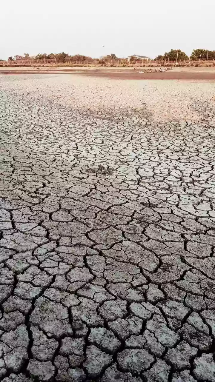 Andhra Pradesh braces for El Niño impact with mitigation plans
