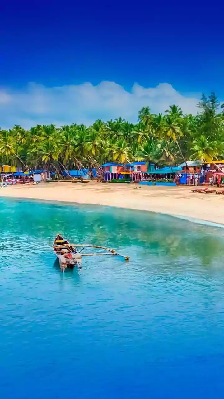 Kochi: India's Undisputed Seafood Capital Beyond Mumbai and Chennai