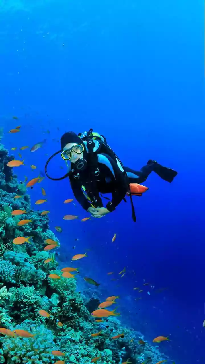 Lakshadweep Sustainable Island Protocols Standardise Marine Conservation Rules For Scuba And Snorkelling Outings