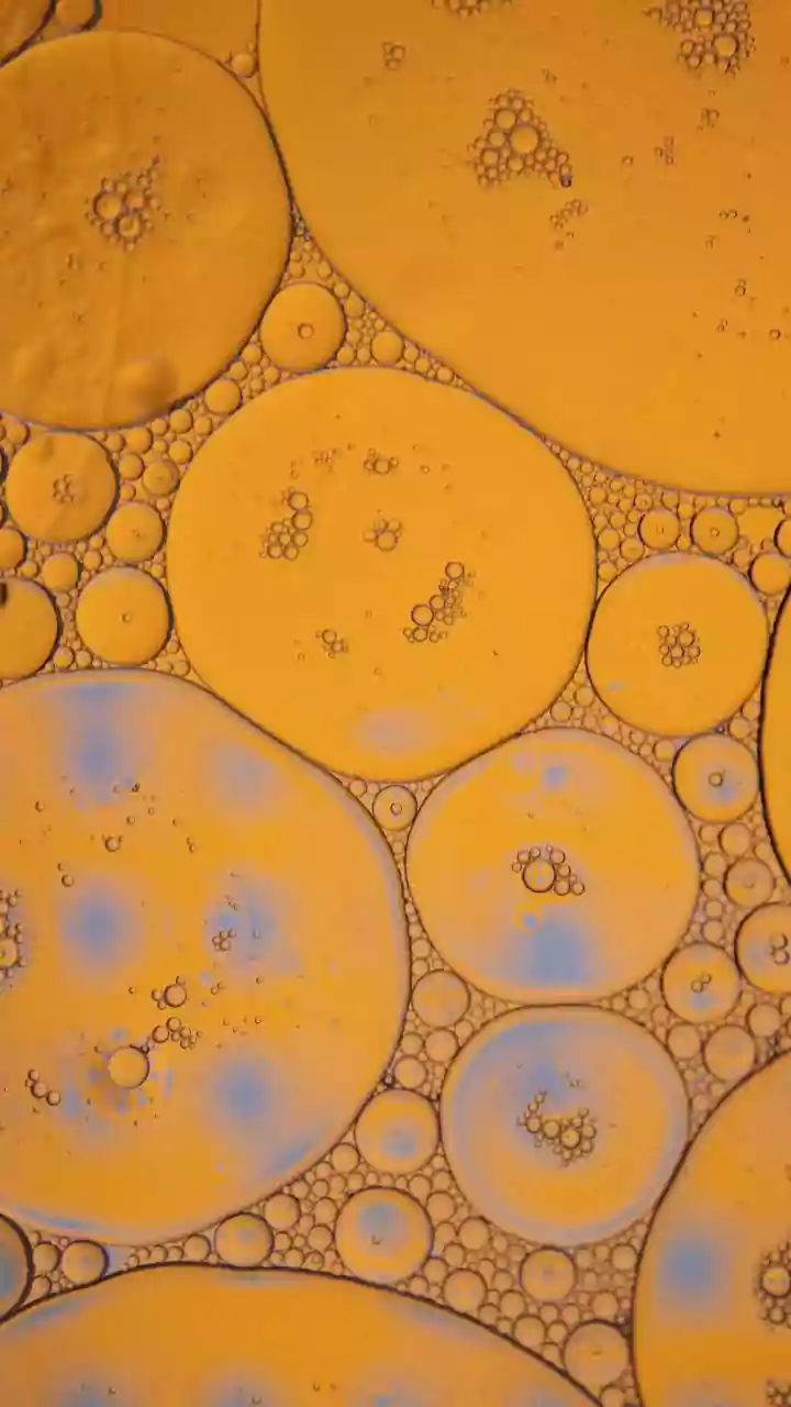 Fungal Fury: Unlocking a Metabolic Secret for a Powerful New Antifungal Weapon