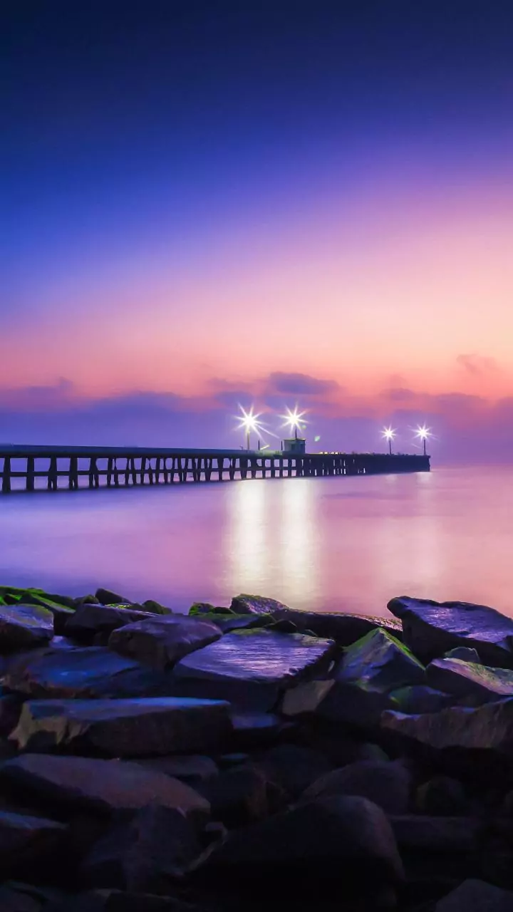 Maharashtra to pursue jetty project at Burondi to boost fisheries in Dapoli: Nitesh Rane