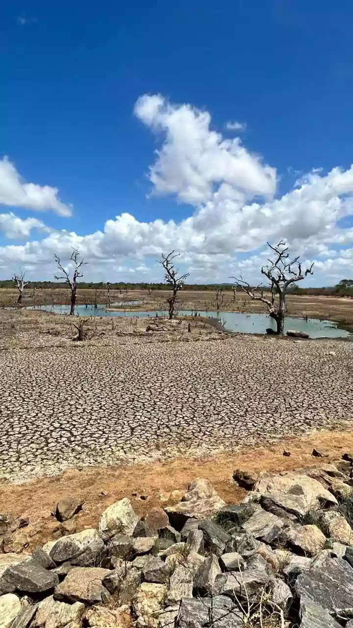 Understanding Heatwaves and Their Impact in India