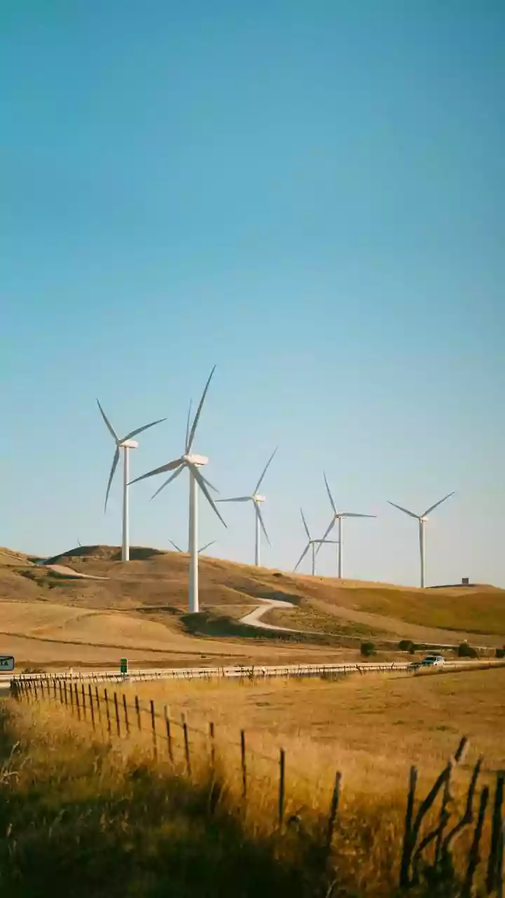 Trump's Windmill Ban: Energy Developers in Court