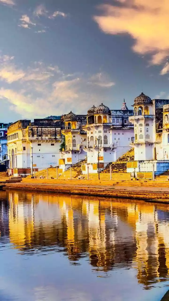 Udaipur's Culinary Gems: 9 Street Foods You Must Savor!