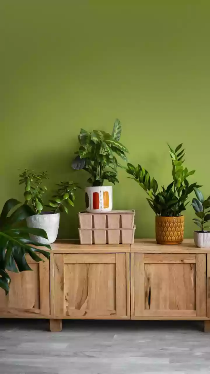 Green Room Upgrades Are Easy, Cheap And Pretty