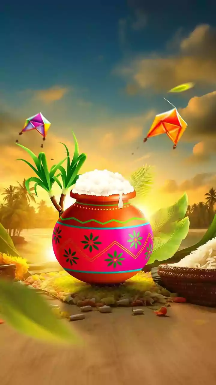 When Is Thai Pongal 2026? Date, Auspicious Time, Rituals And Why We Celebrate This Festival