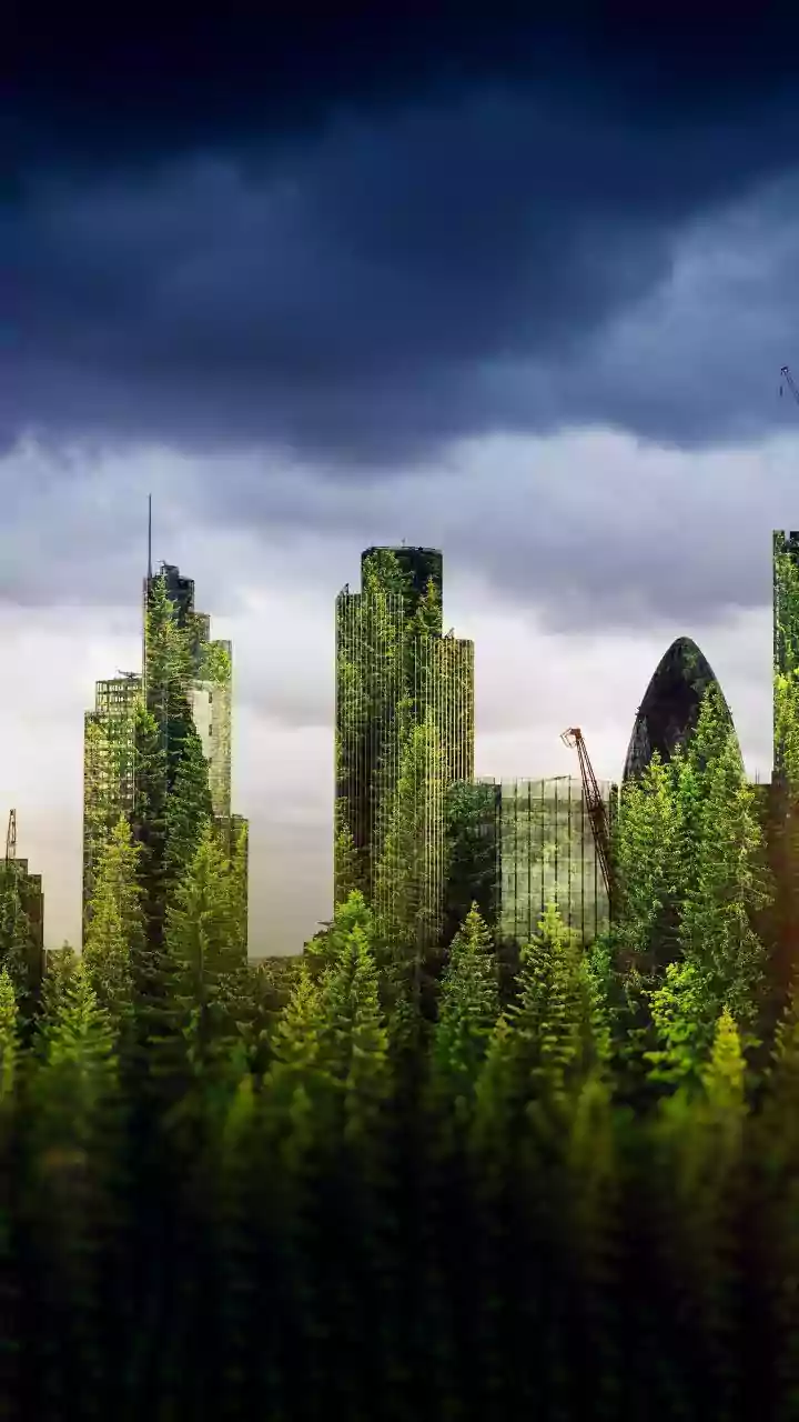 Urban Nature Is The Shareable Side Of Weather