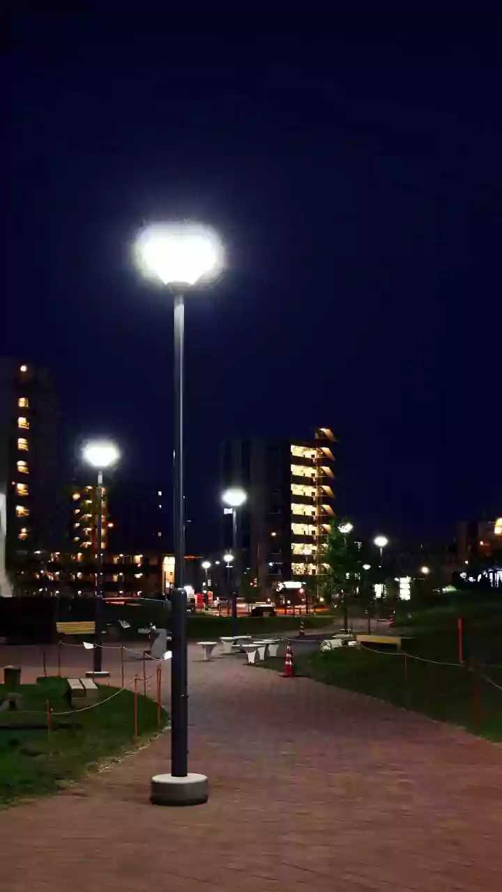 City Lighting Innovations: Genetically Modified Glowing Plants Reduce Municipal Power Consumption