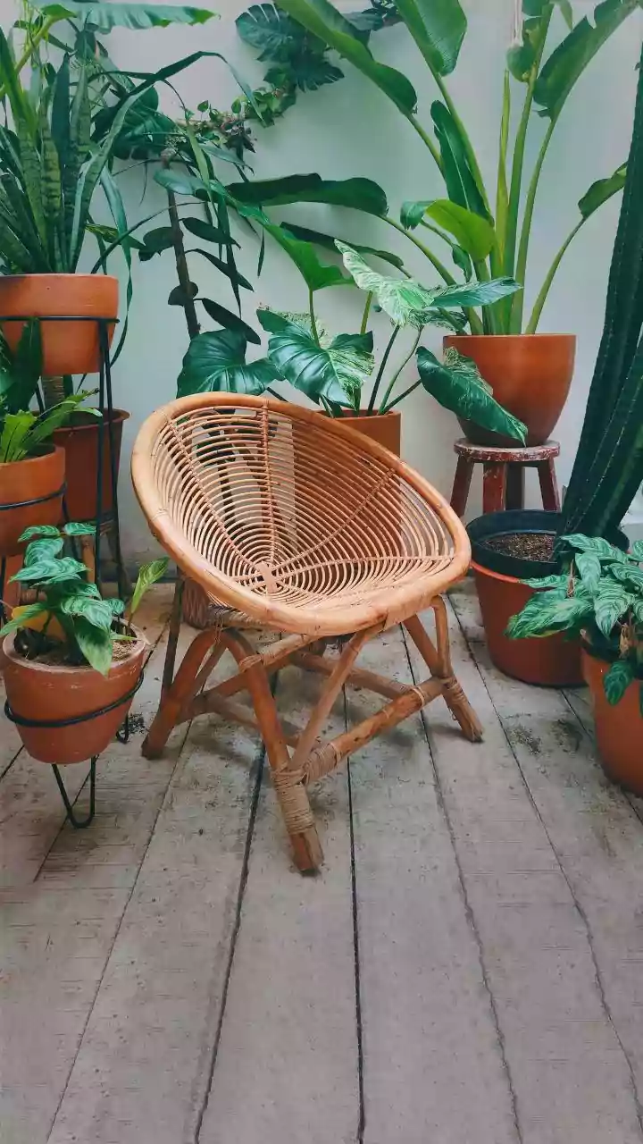 Rattan furniture: Say hello to the hottest home decor trend!