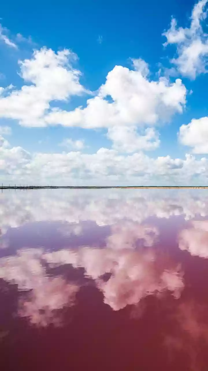 The Green-to-Pink Shift at Lonar Lake Is Not a Permanent Change