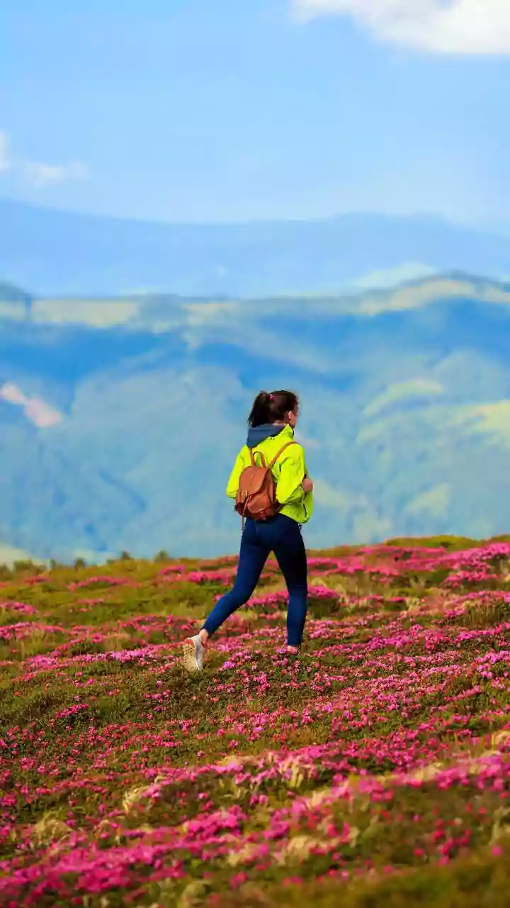 Finding Alpine Flower Meadows You Will Love While Hiking In Austria